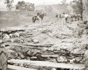 Antietam_Bloody_Lane-1862.jpg